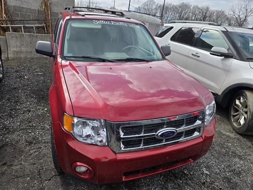 1-RotateNoneFlipNone00d6e6e8-16f4-483e-9597-61b8952af878