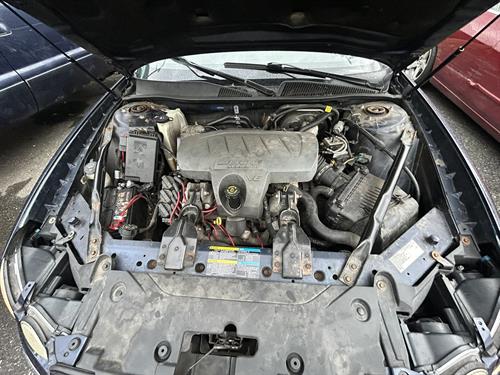 1-RotateNoneFlipNone01e785ba-ad48-42ac-b1e2-aa4d60a9d2d1