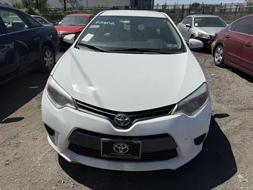 1-RotateNoneFlipNone024e3e12-dfd0-47a4-ba72-8d55dfcf2e8e