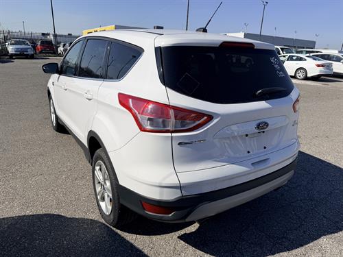 1-RotateNoneFlipNone028447b4-e7b6-4902-9c0d-1fd3dc4d7585