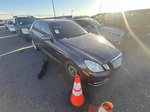 1-RotateNoneFlipNone03cc0586-813d-4b0e-926d-6f09ec42f3ad