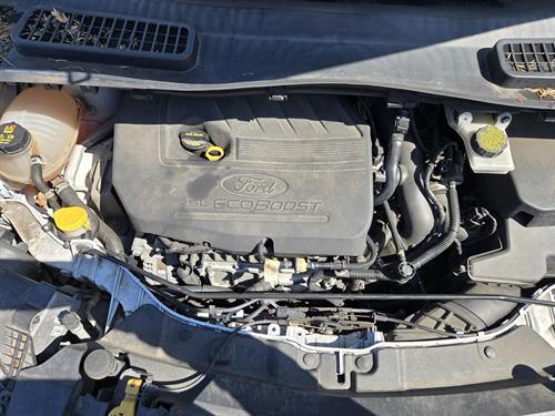 1-RotateNoneFlipNone044d4347-90ca-44ce-b94c-65c46639dce8