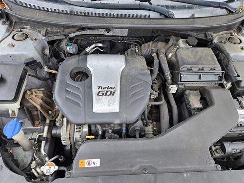 1-RotateNoneFlipNone06ed886e-bd8a-475f-9658-515920ee8959