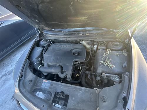 1-RotateNoneFlipNone07a5a8ec-38e0-4fbb-b64d-7329b3acca72