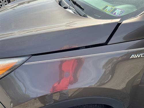 1-RotateNoneFlipNone07df4167-ac61-4fc4-b247-2555b6e80ae5