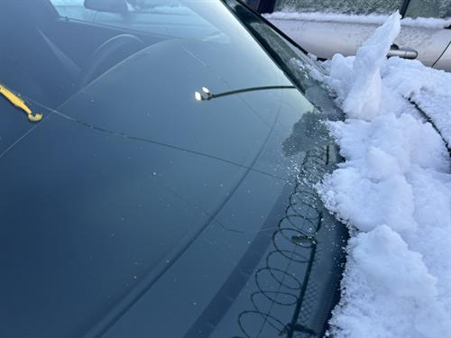 1-RotateNoneFlipNone0862f712-76d0-416a-85cd-5e518ad2bf53