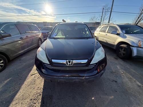 1-RotateNoneFlipNone08b2b7ff-f467-4b0a-be67-bad7855b950c