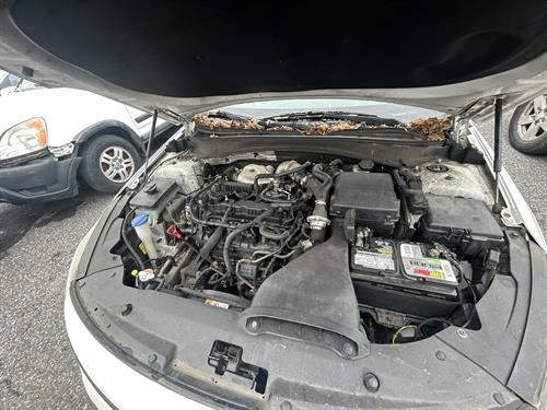 1-RotateNoneFlipNone094d279b-69ef-4938-89c5-9feabe02f3ea