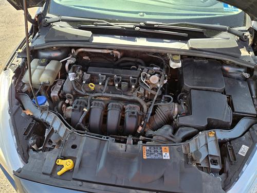 1-RotateNoneFlipNone0a82495c-ce99-4f92-9870-9ce31ea74a79