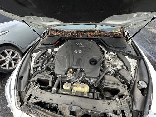 1-RotateNoneFlipNone0a844226-4348-4db1-94f9-e8b4a6384dbe