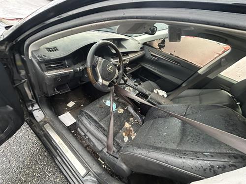 1-RotateNoneFlipNone0b019894-c12b-4ff8-984a-b92b7162c35c