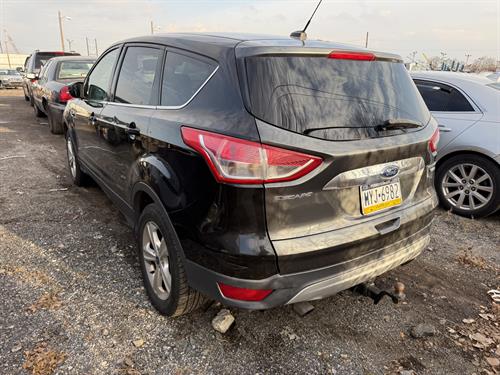 1-RotateNoneFlipNone0ba20832-7918-4c45-b376-9f0901a28b38