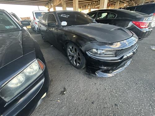 1-RotateNoneFlipNone0bd3ebff-5f3c-489e-a786-544229f09517