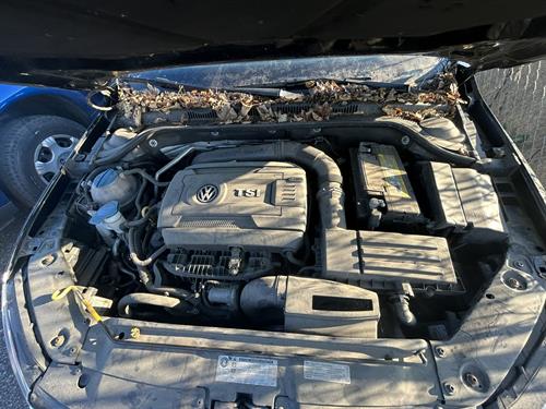 1-RotateNoneFlipNone0cd4a2f1-88dc-49dd-8d09-5995f248e424