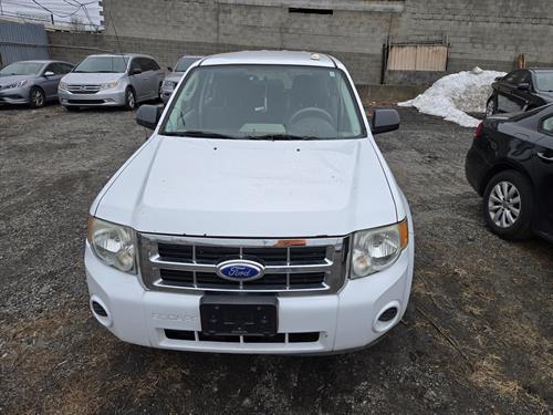 1-RotateNoneFlipNone0d4a4788-c9fd-49fa-9460-bb531564dfab