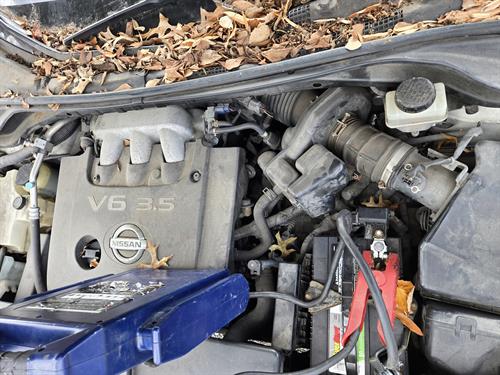 1-RotateNoneFlipNone0fbda69f-427e-4cff-b2e9-8ccee6ddcc33