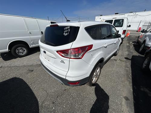 1-RotateNoneFlipNone0fd367d5-1e0d-4cbd-bfe6-ae3f6a5ea4e9