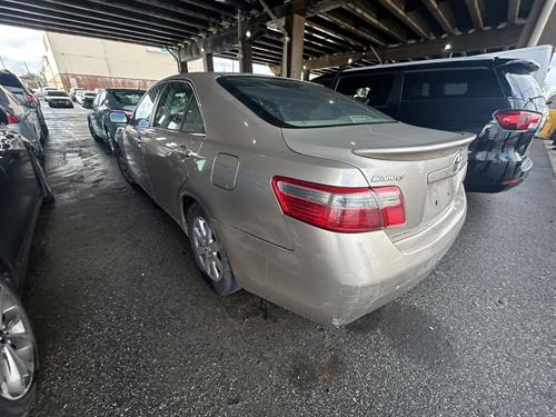 1-RotateNoneFlipNone10293529-337e-4cce-818f-aa1607fb0d22