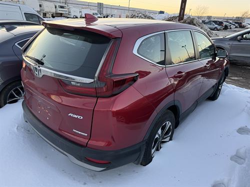 1-RotateNoneFlipNone10976027-dbdc-42f9-b81c-b66ebc74670c