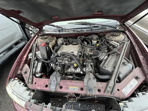 1-RotateNoneFlipNone10b75ded-5fdc-4a01-a738-7d4f248ca488