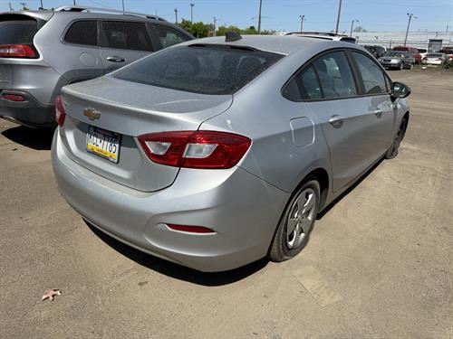 1-RotateNoneFlipNone11170fed-c626-4dd4-8555-1246ea677eeb