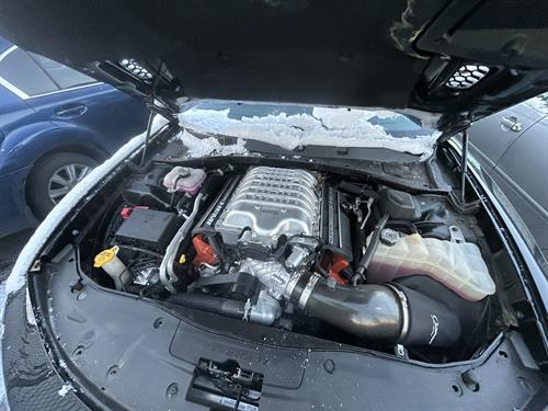 1-RotateNoneFlipNone13712a89-ba78-48d9-87ca-74923db58dad