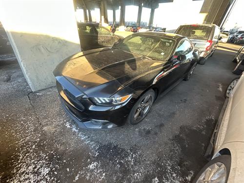 1-RotateNoneFlipNone16ba858c-a8ac-4074-b00d-870e7f6dd7a8