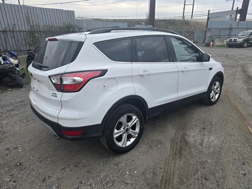 1-RotateNoneFlipNone172c5a8e-9a97-4f72-8186-6b08e8812b92