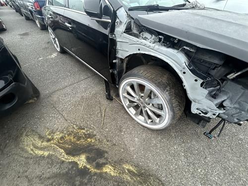 1-RotateNoneFlipNone17b8d25e-0c53-415c-83c0-6ef4a5ef3b15