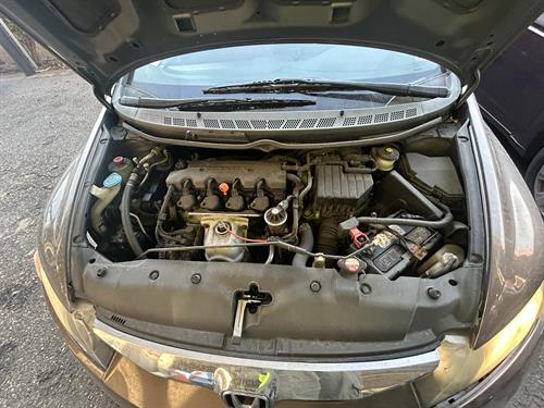 1-RotateNoneFlipNone19219b68-dc3e-47ef-be78-9d55364b9759