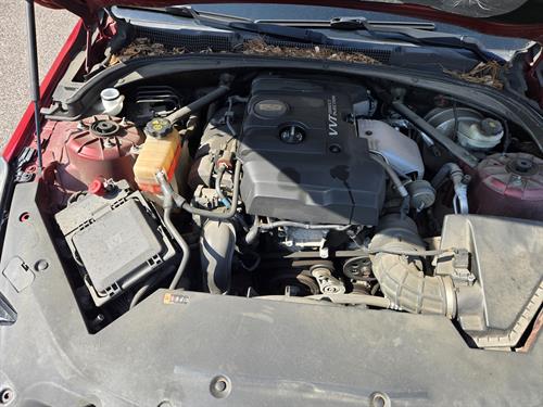 1-RotateNoneFlipNone194feb15-b4b9-4b08-bc42-83cbda237b48