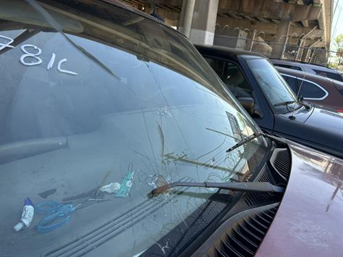 1-RotateNoneFlipNone1a28c250-50eb-4d89-8c98-44df3f870334