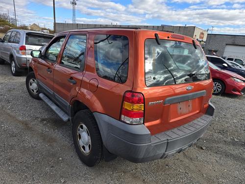 1-RotateNoneFlipNone1ab08f37-bcab-43a5-8556-16742107f58a