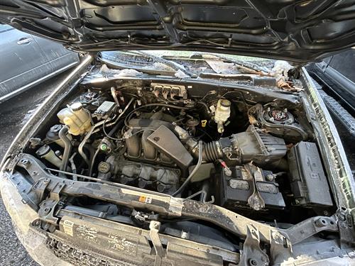 1-RotateNoneFlipNone1d0b6f8b-ef65-4040-8f3a-632cb50b7aa6