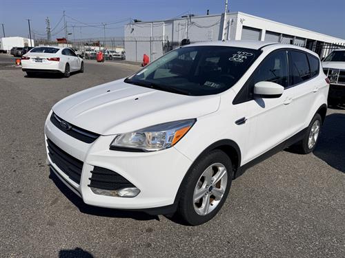 1-RotateNoneFlipNone1ebf48a0-e7d3-4886-bfb3-4b22a18768e4