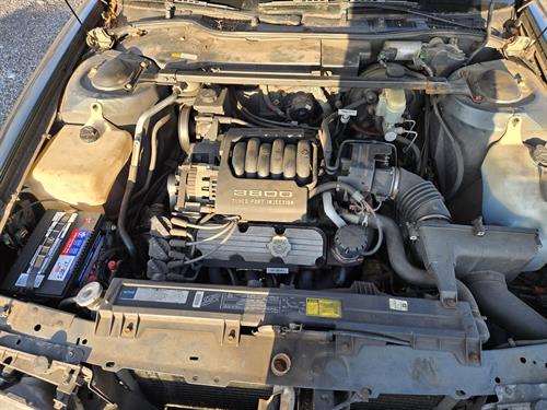 1-RotateNoneFlipNone1f32b288-9b29-42c6-b9fa-e9bc0c919e9a