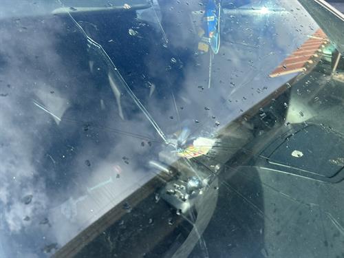 1-RotateNoneFlipNone1fb6e9e8-def4-4bf8-81e5-0af9ad381fca