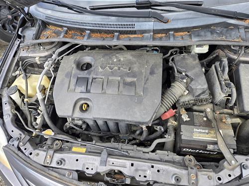 1-RotateNoneFlipNone201cbf1c-1387-4779-ad6f-67ae9cc9b689