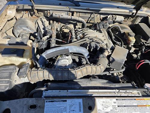 1-RotateNoneFlipNone21c54ef1-b51b-4624-8e99-a53516c5ad09