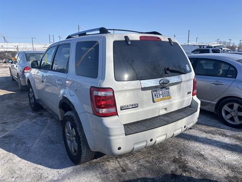 1-RotateNoneFlipNone26df2d2f-5ab6-4110-b637-b019f502b19b