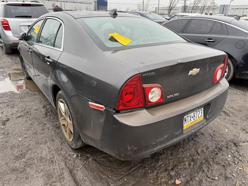 1-RotateNoneFlipNone294d7645-f8d6-4046-b448-471c21907d99