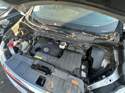 1-RotateNoneFlipNone296b9ce4-fe00-40c2-aff6-8276fb2803ba