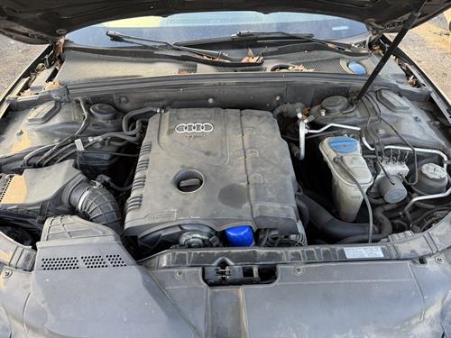 1-RotateNoneFlipNone297c4f70-3cc4-4c48-8e21-85f73bea28fa