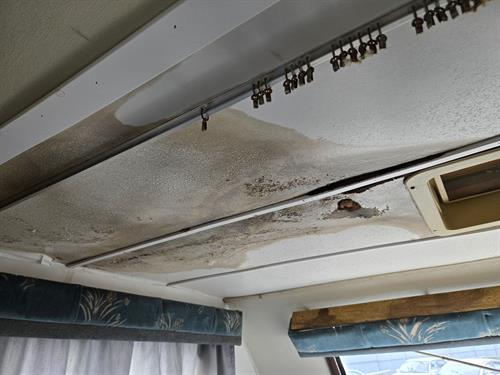 1-RotateNoneFlipNone29ec4c7d-36ba-47f1-b63b-78ea0f9b48ac