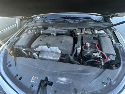 1-RotateNoneFlipNone2adb24cf-515e-4334-93b2-9da97726a85b