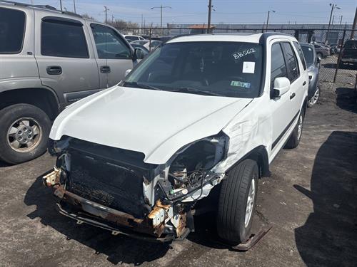 1-RotateNoneFlipNone2c0beab2-75fa-4757-ba44-705094c7af10