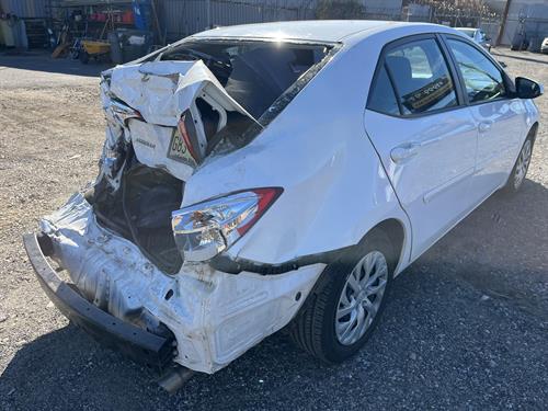 1-RotateNoneFlipNone2cc4d1ba-0f1e-468d-ba4e-c28c256c9ae7