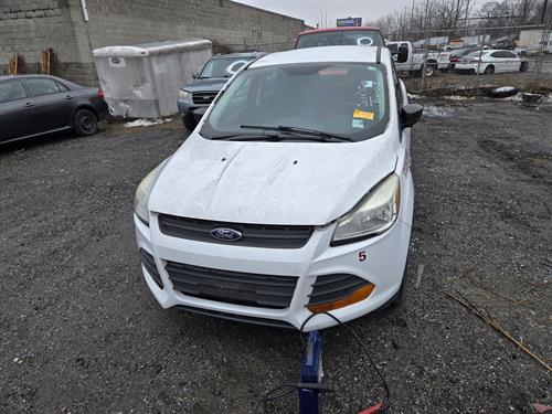 1-RotateNoneFlipNone2e8b0d46-ca35-4691-bd12-9c6e2047fd6e