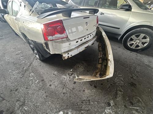 1-RotateNoneFlipNone2f0bb878-6348-45bb-8b1a-4d7865fba0da