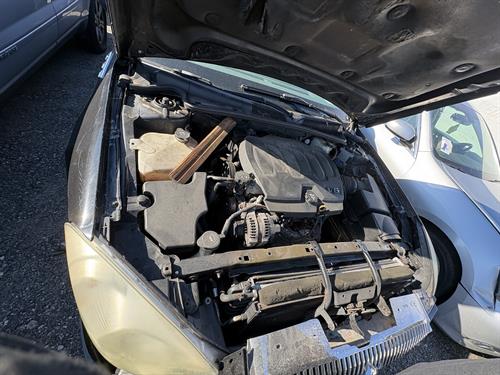 1-RotateNoneFlipNone2f0d0d57-b9cf-4e1e-b3dd-f242e44c10da